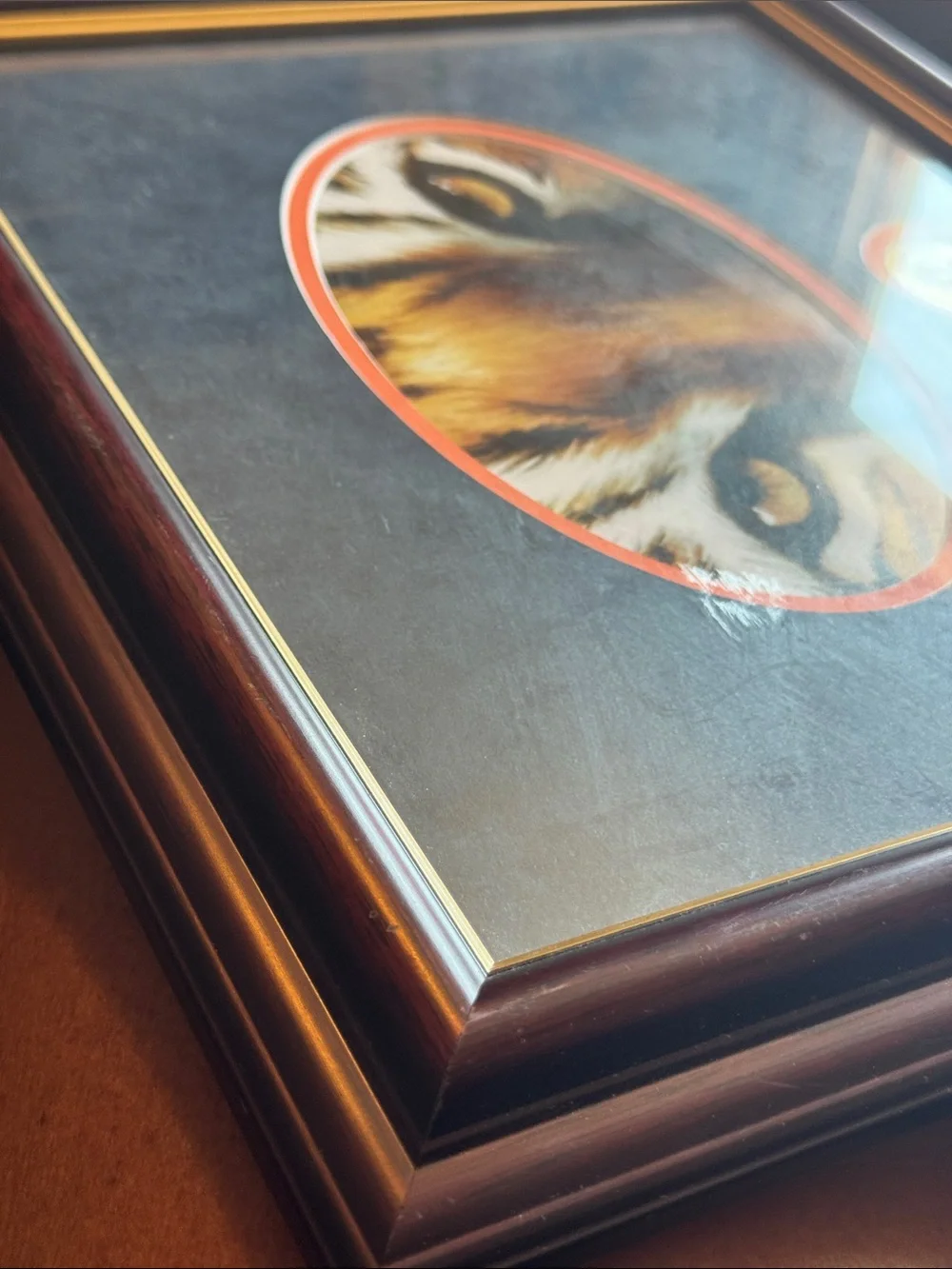 Auburn Tigers Tiger Eyes Framed Wall Art - Brown and Gold Accent 13 x 15